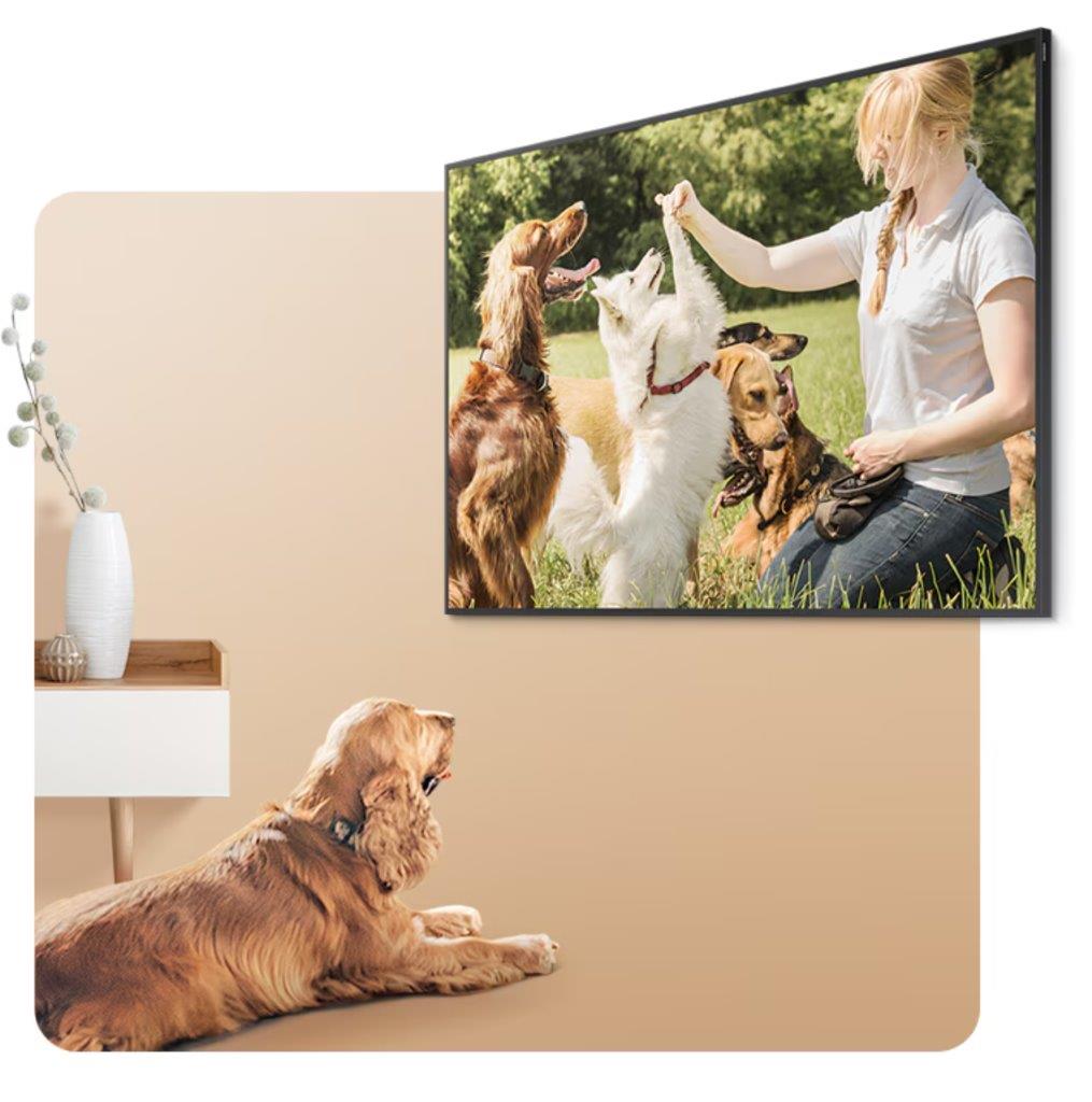 Samsung AI Home Security transforms TV into a central hub for home security