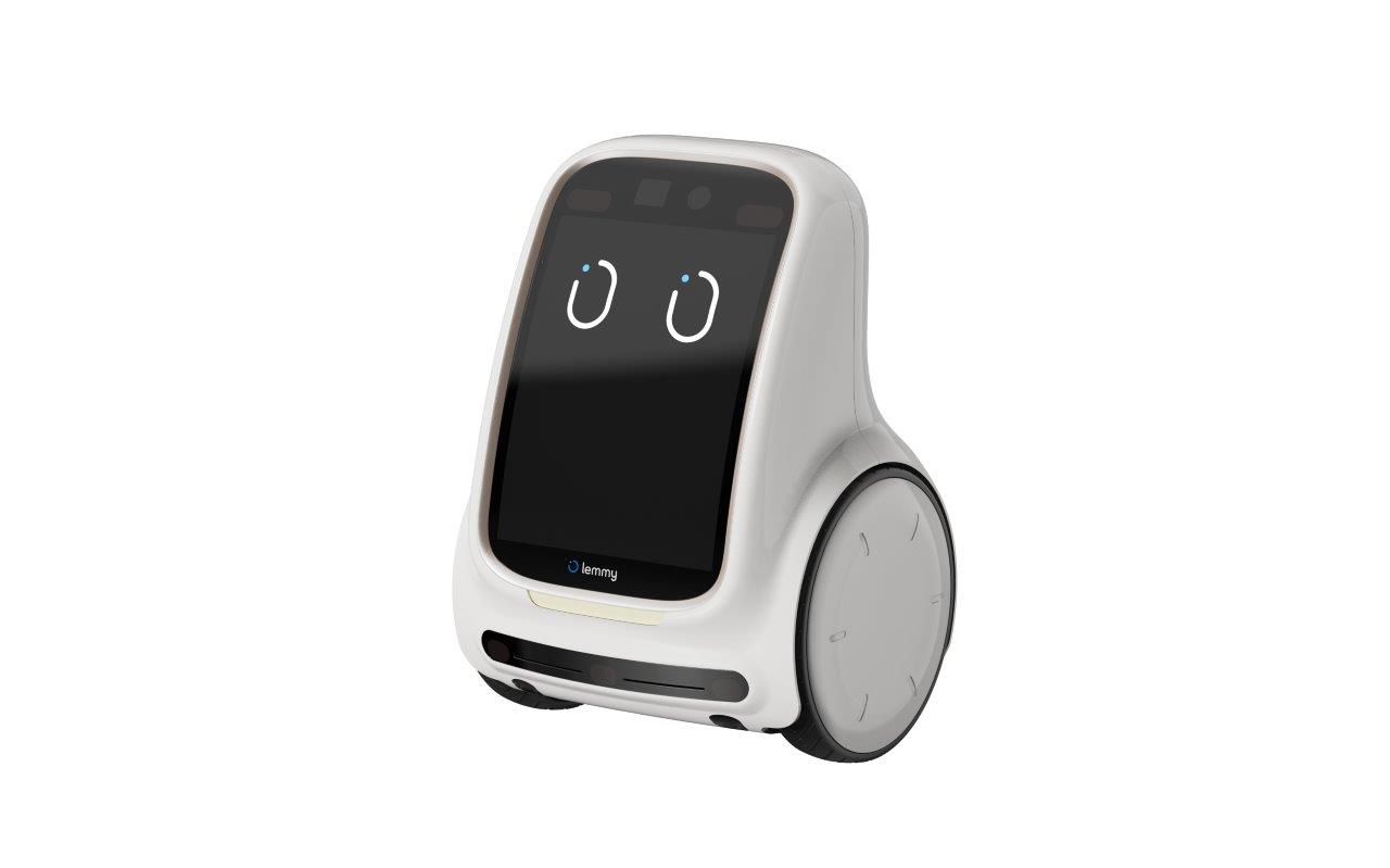 Lemmy, a companion care robot