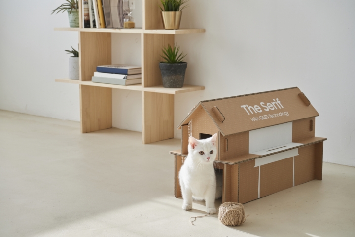 ALT Text: a white kitten walking out of a small card board house with a ball of twine next to it