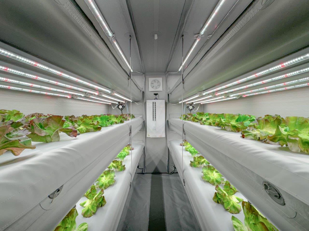 Airfarm Food Ark: High-tech indoor vertical farming system with LED lighting.