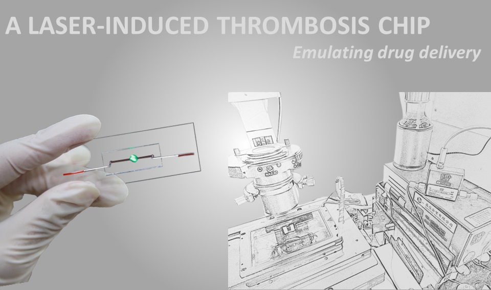 A laser-induced thrombosis on a chip