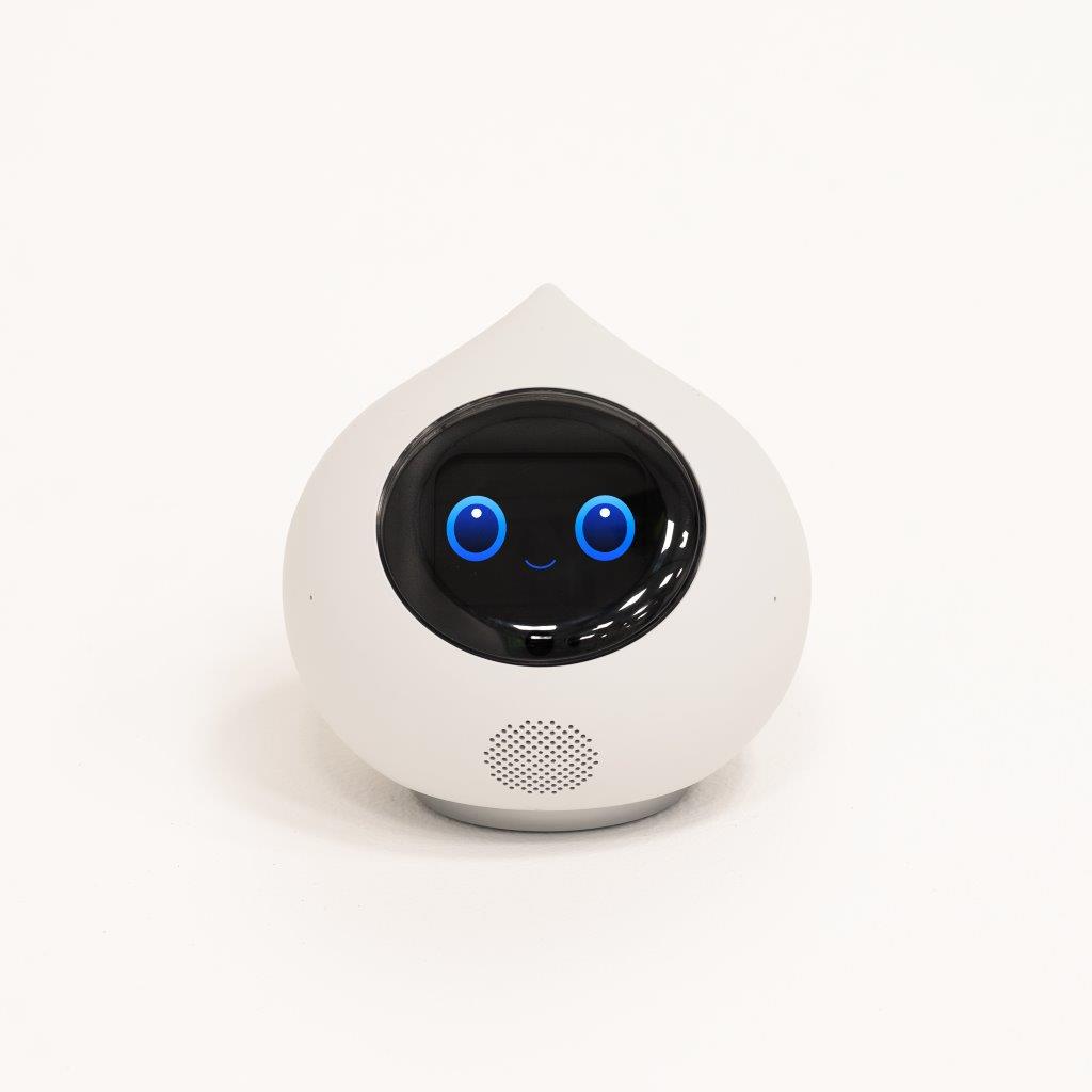 Conversational AI Robot Romi